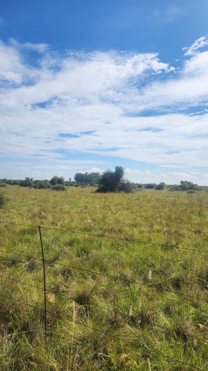 Commercial Property for Sale in Lichtenburg Rural North West